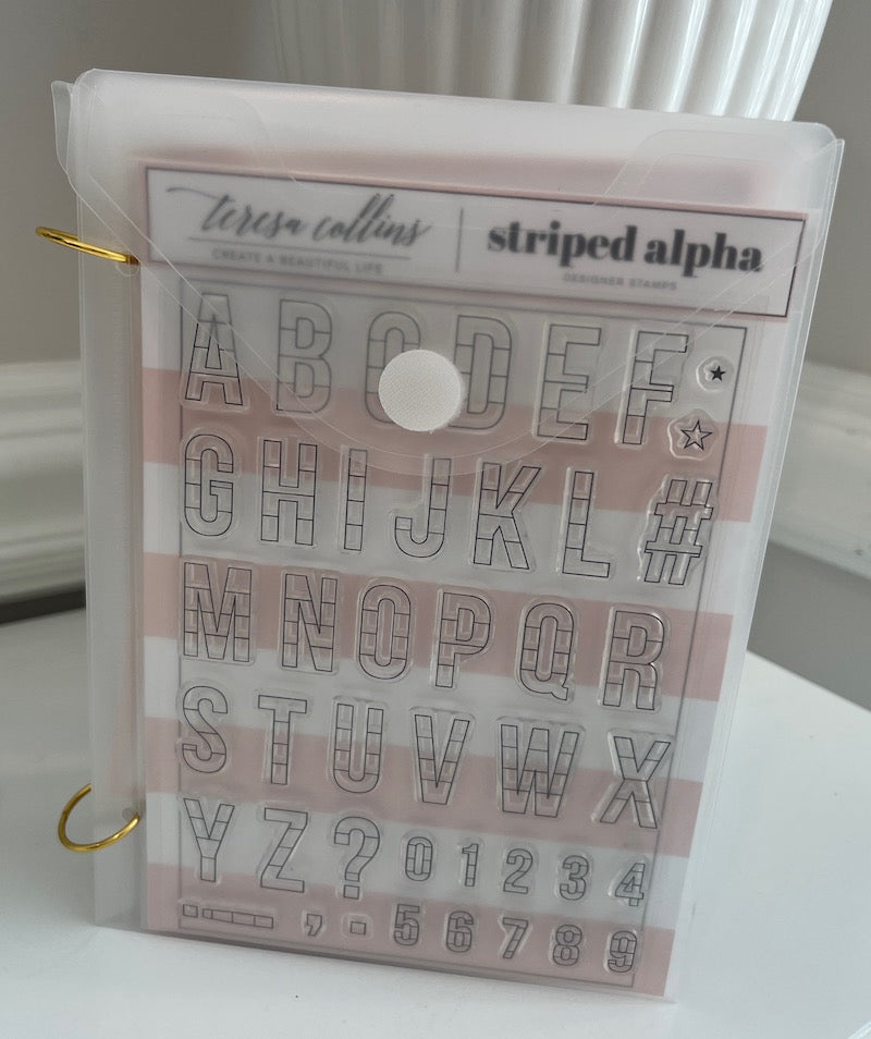 Large Clear Organizer Sleeves