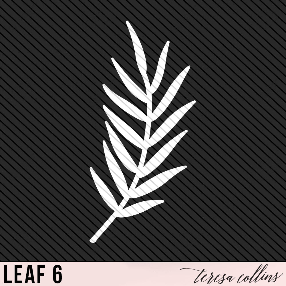 Leaf 6