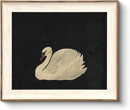 Swan Framed Canvas Wall Art