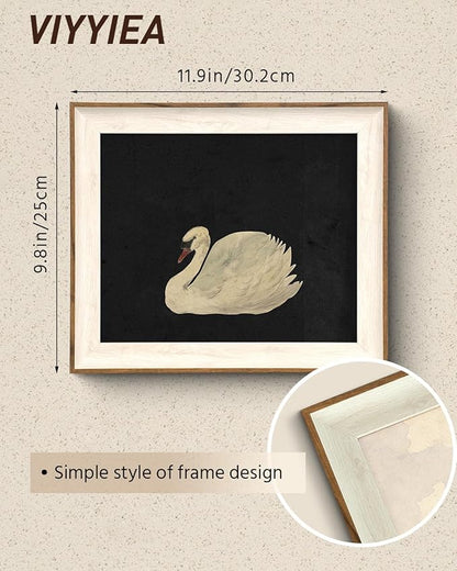 Swan Framed Canvas Wall Art