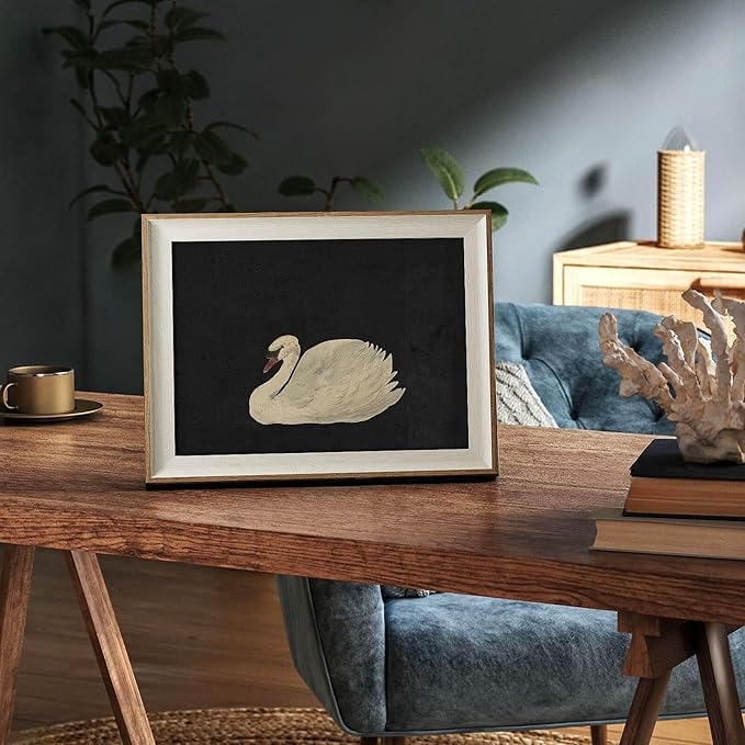 Swan Framed Canvas Wall Art