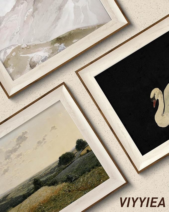 Swan Framed Canvas Wall Art