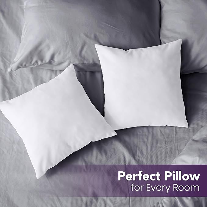 Throw Pillows Insert (Pack of 2, White) - 20 x 20 Inches