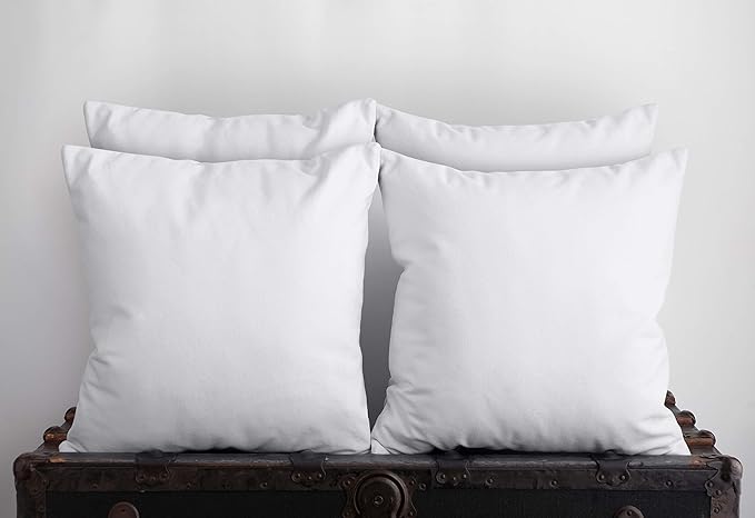 Throw Pillows Insert (Set of 4, White), 20 x 20 Inches