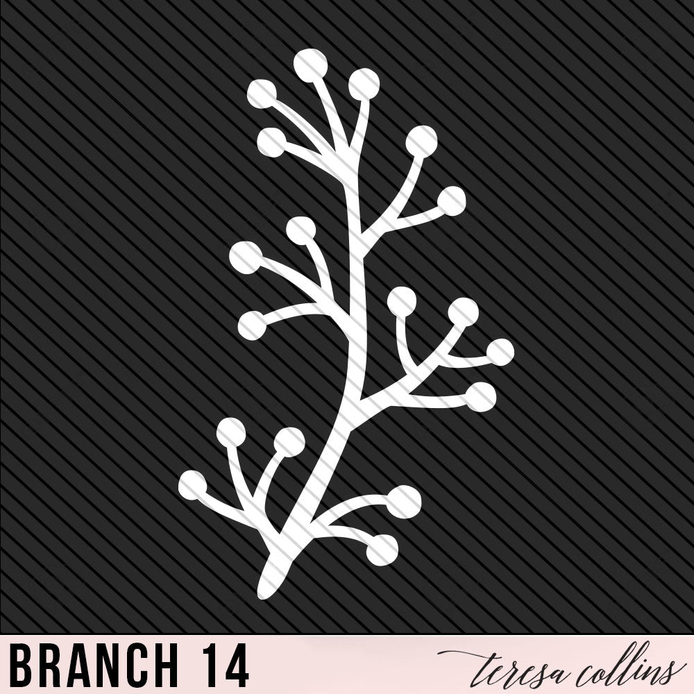 Branch 14