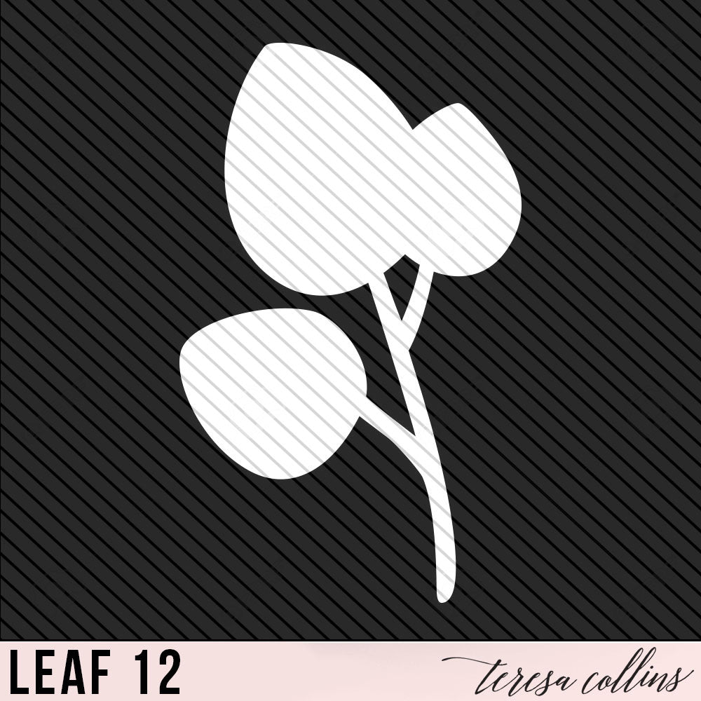 Leaf 12